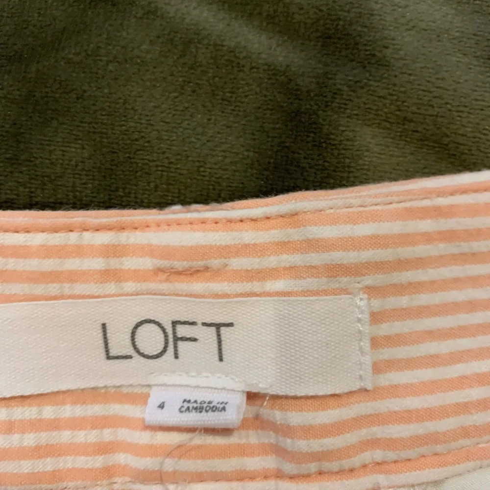 Loft Shorts